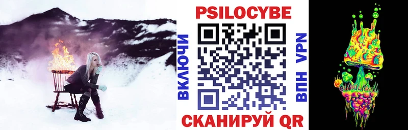 Галлюциногенные грибы Psilocybe  Ессентукская 